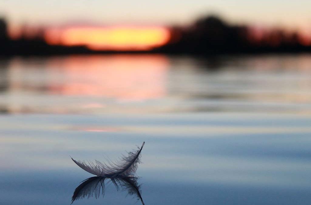 Reframing our perspective - a feather on calm water