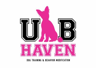 Dog Training & Behavior Modification